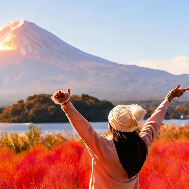 Mt Fuji Top 5 Spots Day Tour: Arakurayama Park,Oshino Hakkai