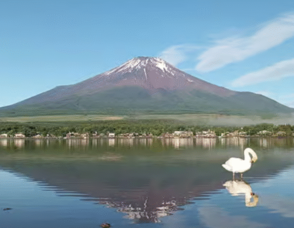 Mount Fuji Full-Day Private Tour from Tokyo (Customizable)