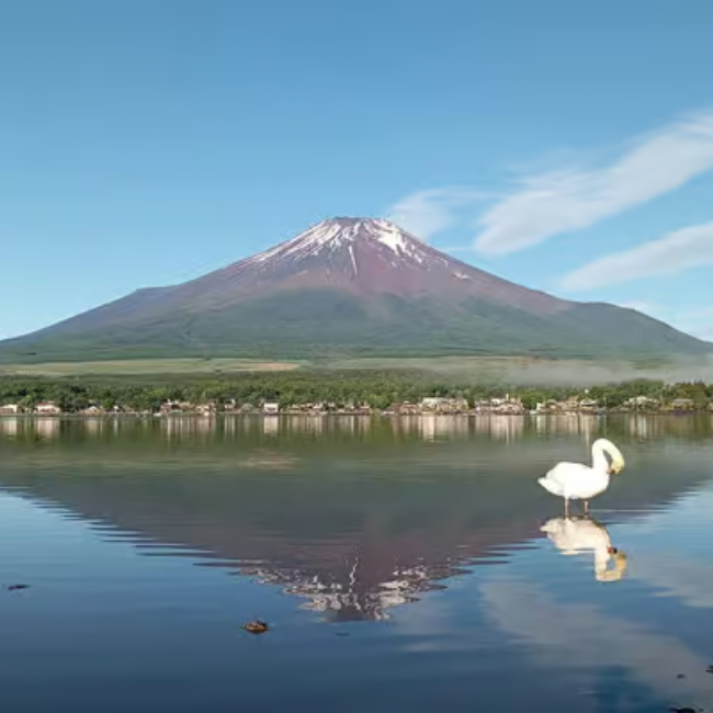 Mount Fuji Full-Day Private Tour from Tokyo (Customizable)