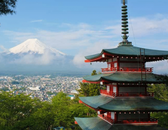 Mount Fuji: Customizable Private Tour By Car With Pickup